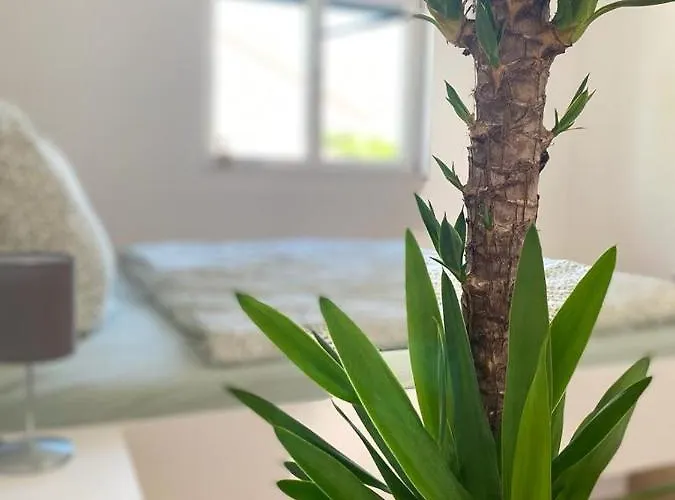 Апартаменты Gmiatliches Eck